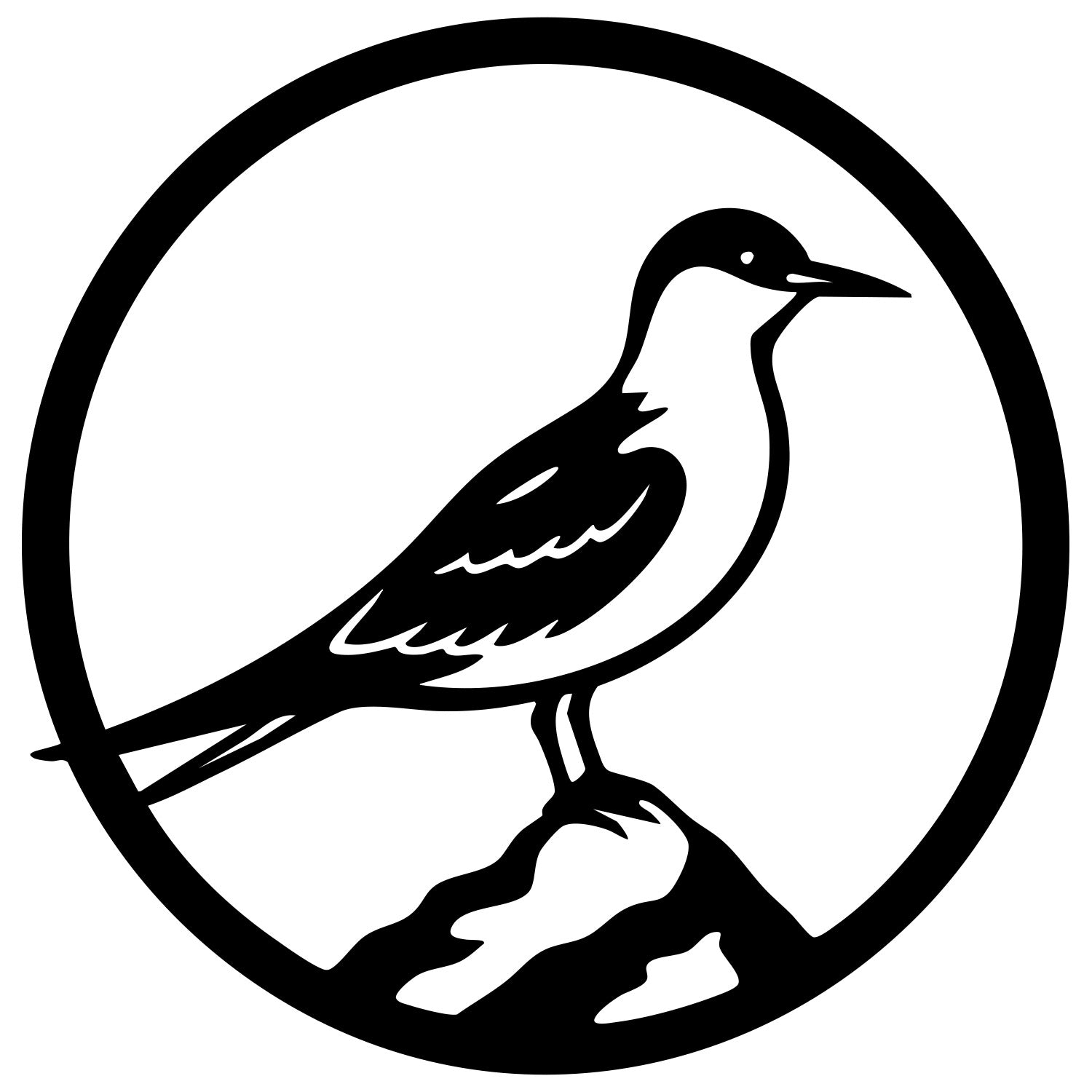 Common Tern DXF File – CNC Cutting Design | ABTERN5