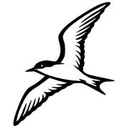 Common Tern DXF File – CNC Cutting Design | ABTERN7