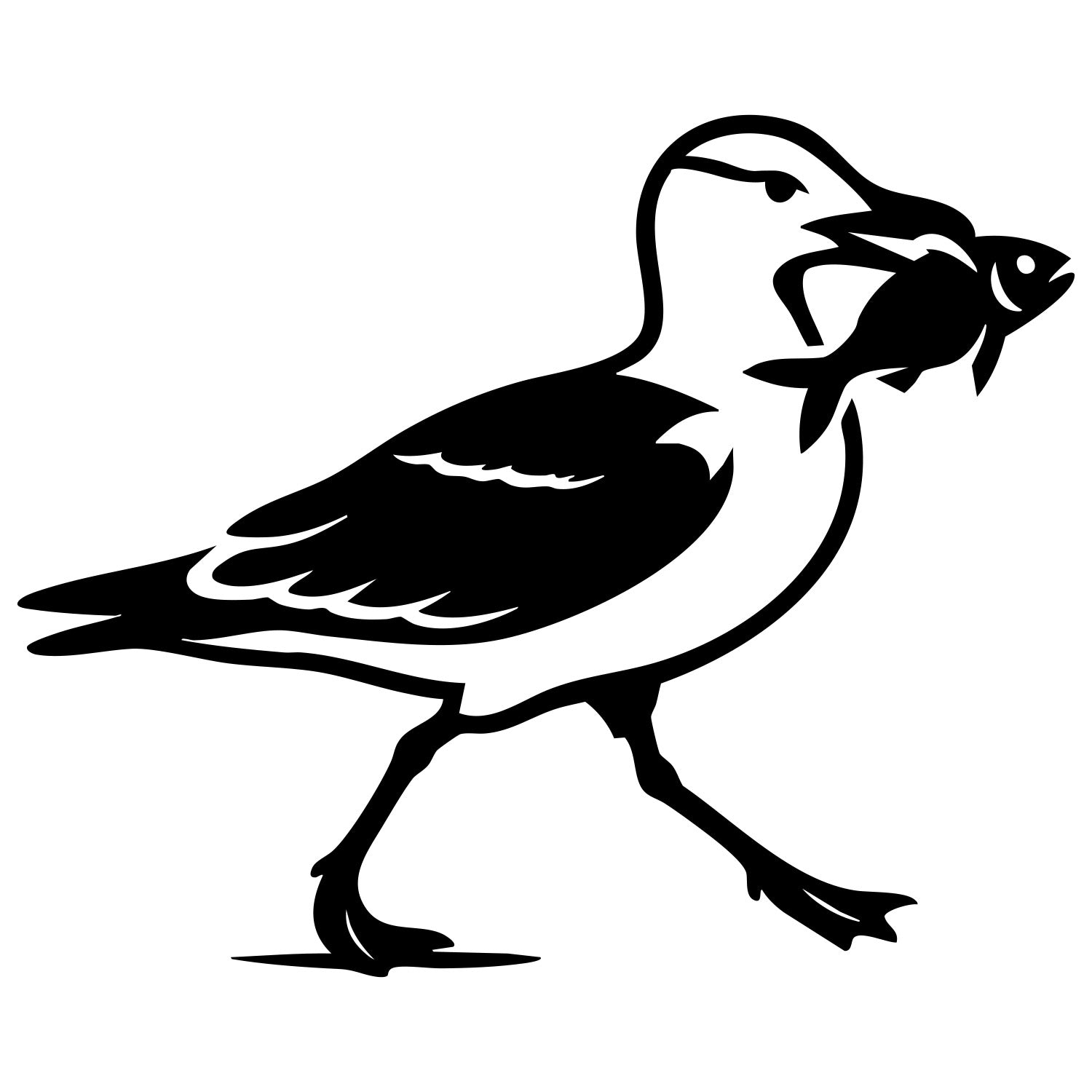 Herring Gull DXF File – CNC Cutting Design | ABSEAGULL102