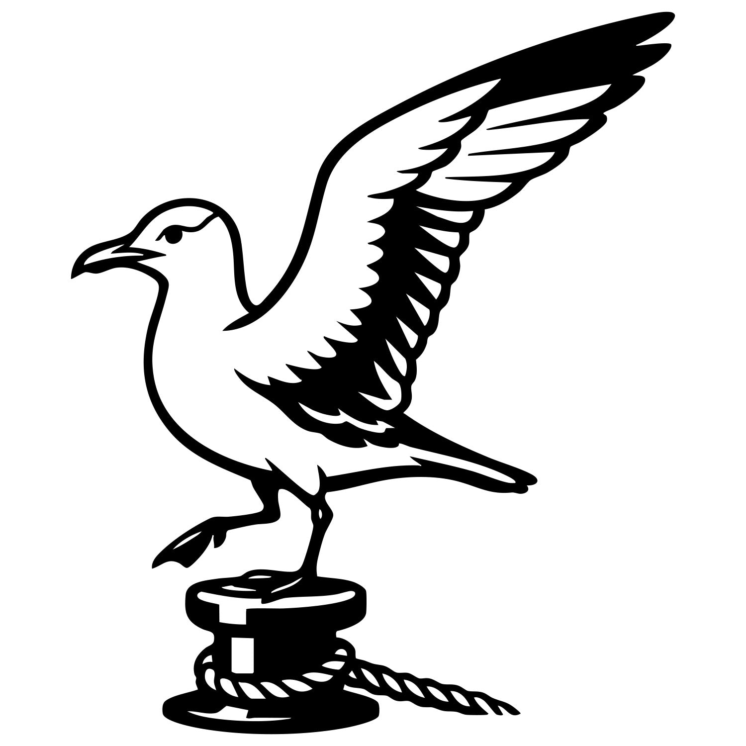Herring Gull DXF File – CNC Cutting Design | ABSEAGULL120