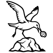 Herring Gull DXF File – CNC Cutting Design | ABSEAGULL53