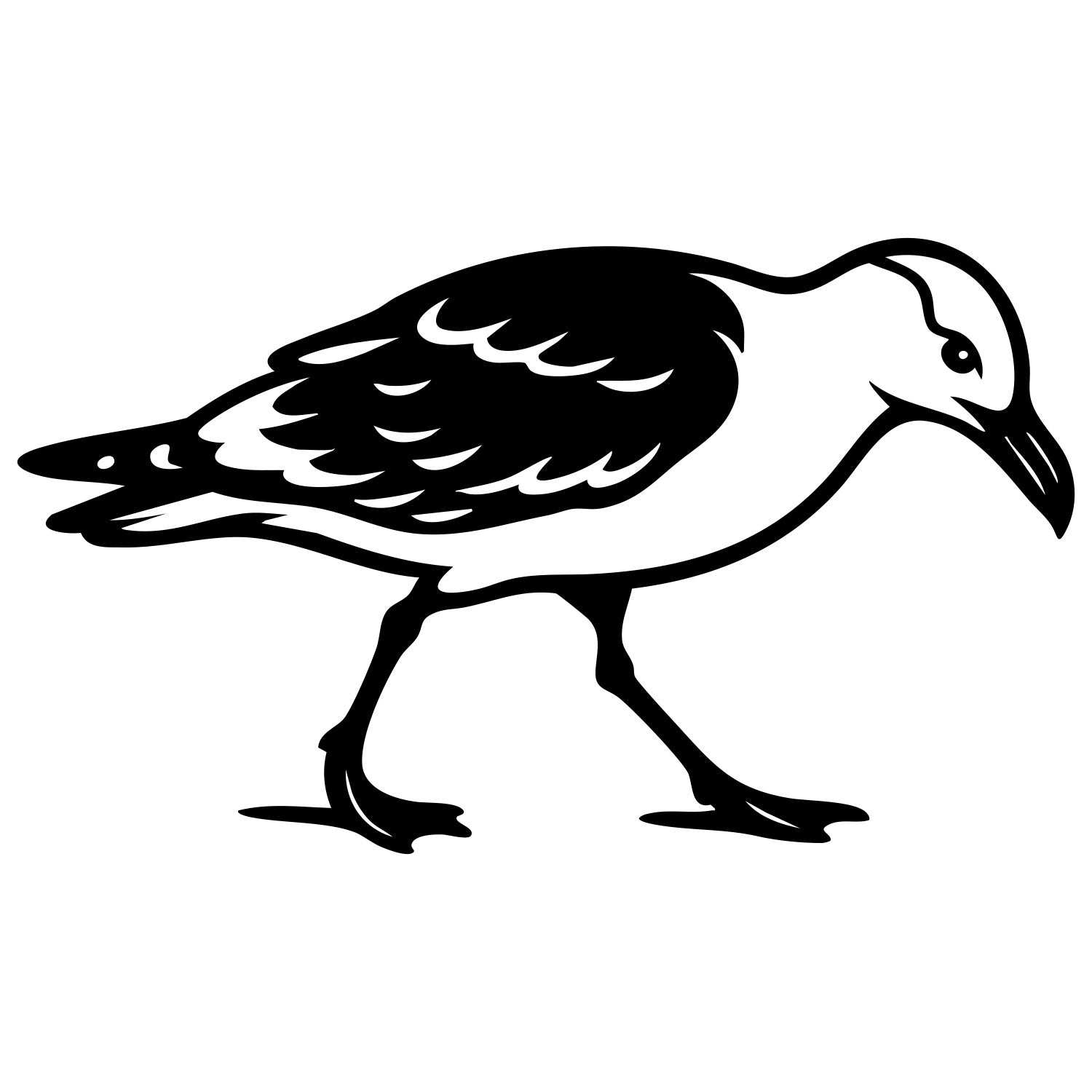 Herring Gull DXF File – CNC Cutting Design | ABSEAGULL79