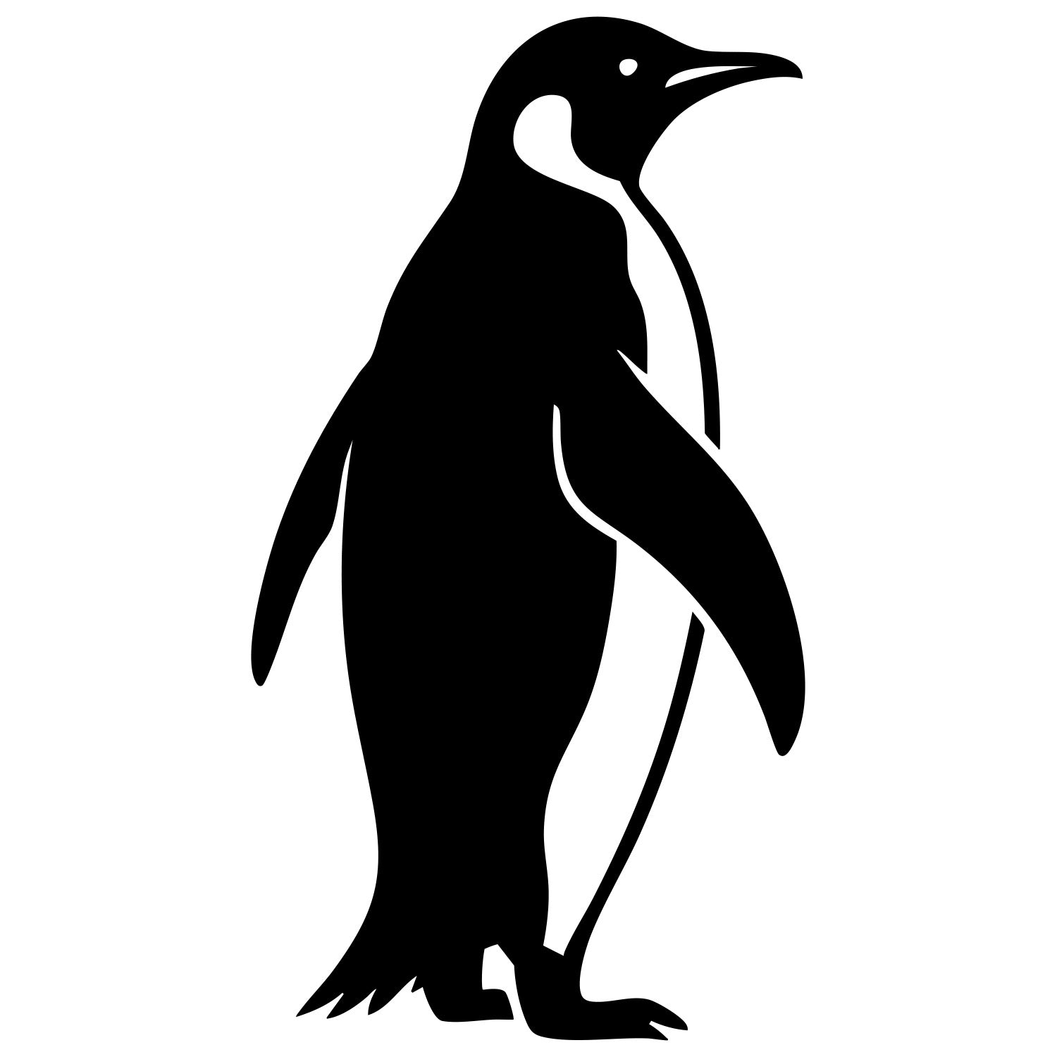 King Penguin