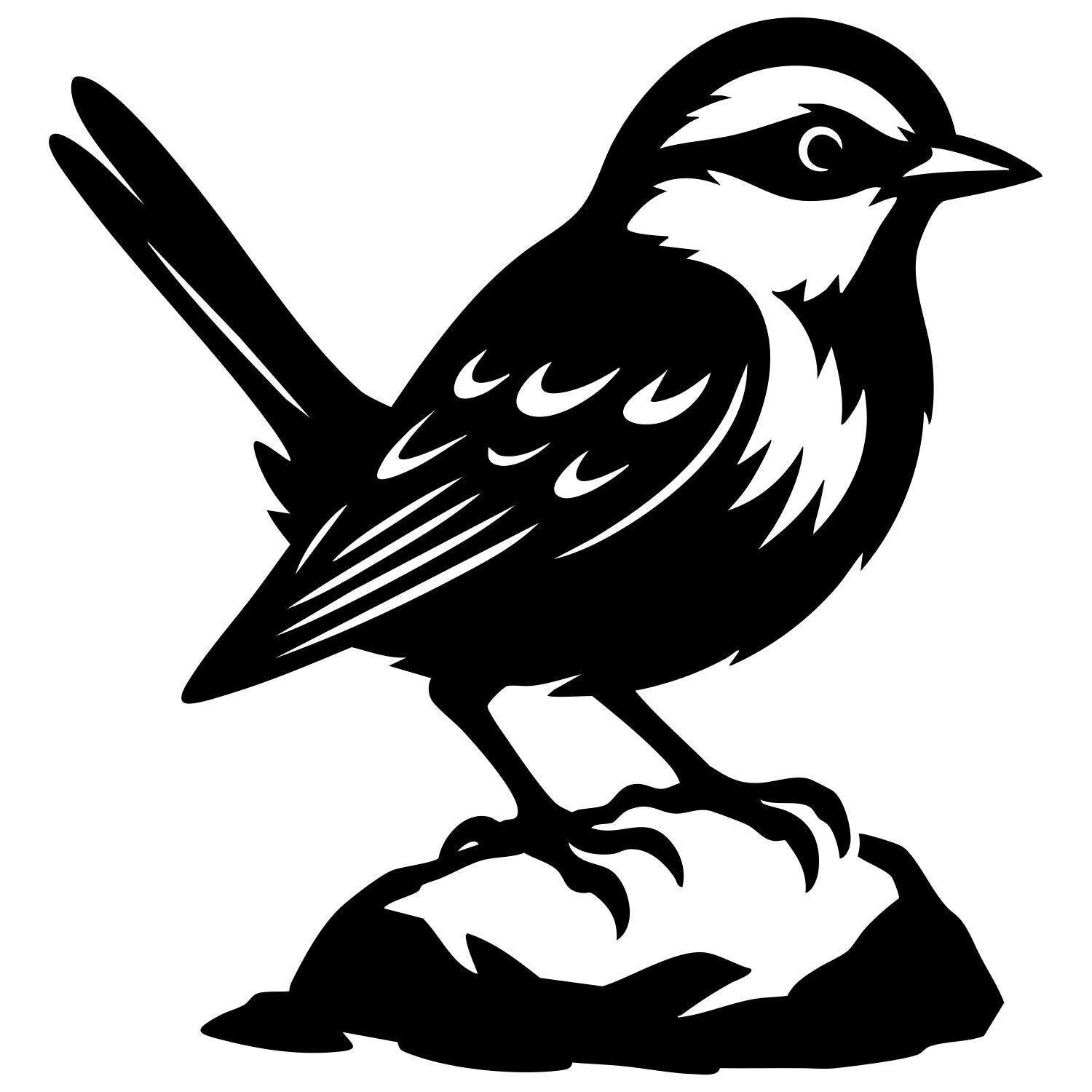 Long Tailed Finch DXF File – CNC Cutting Design | ABFINCH388