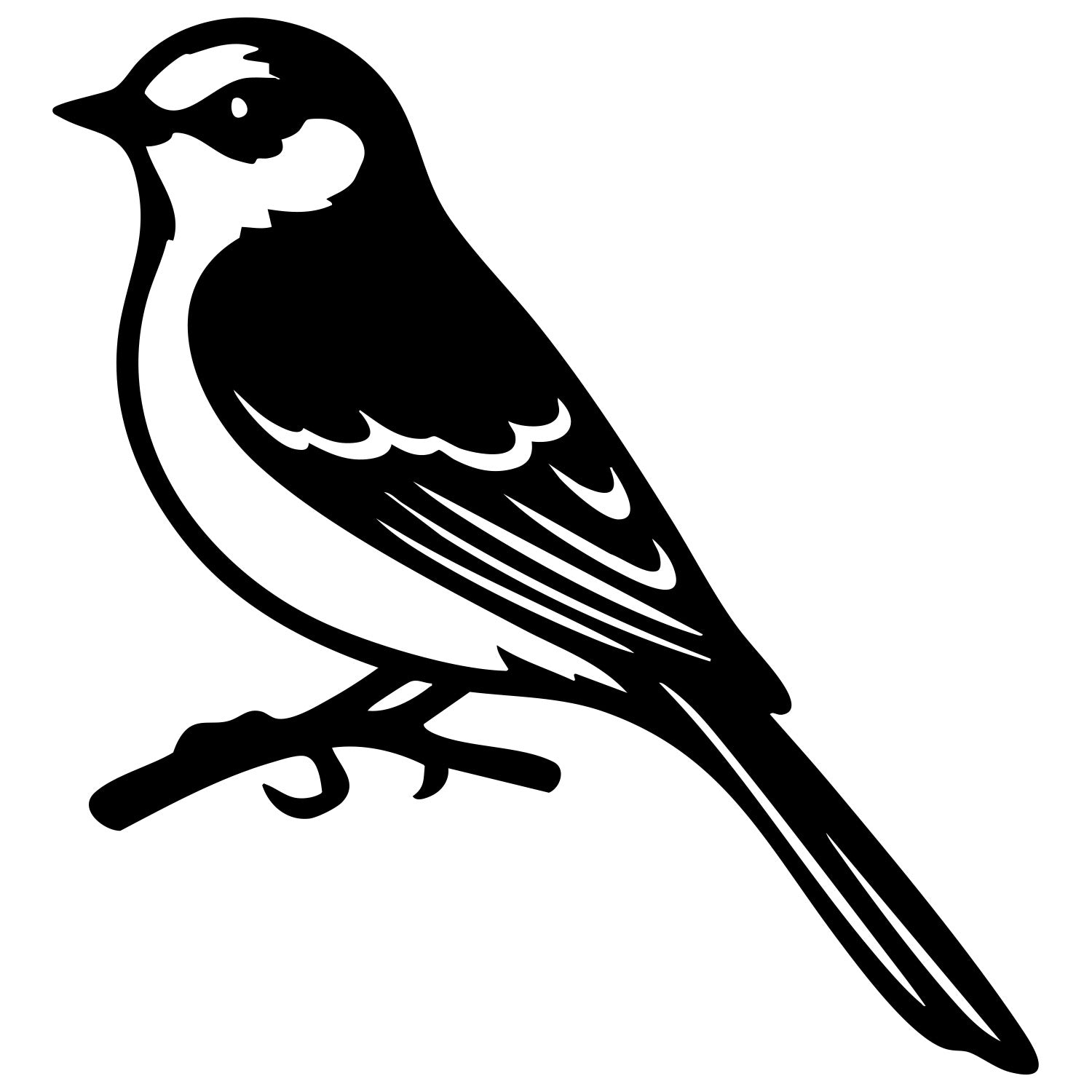 Long Tailed Finch DXF File – CNC Cutting Design | ABFINCH394