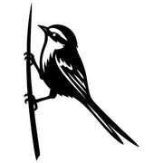 Long Tailed Finch DXF File – CNC Cutting Design | ABFINCH413
