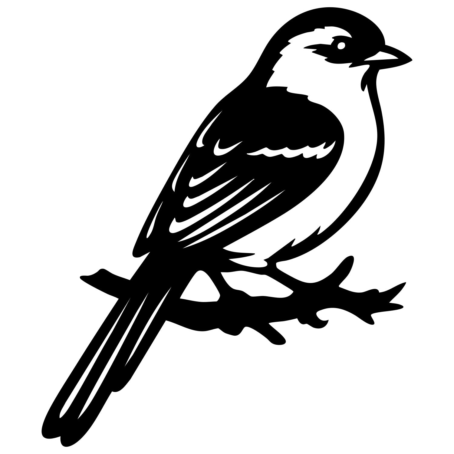 Long Tailed Finch DXF File – CNC Cutting Design | ABFINCH422