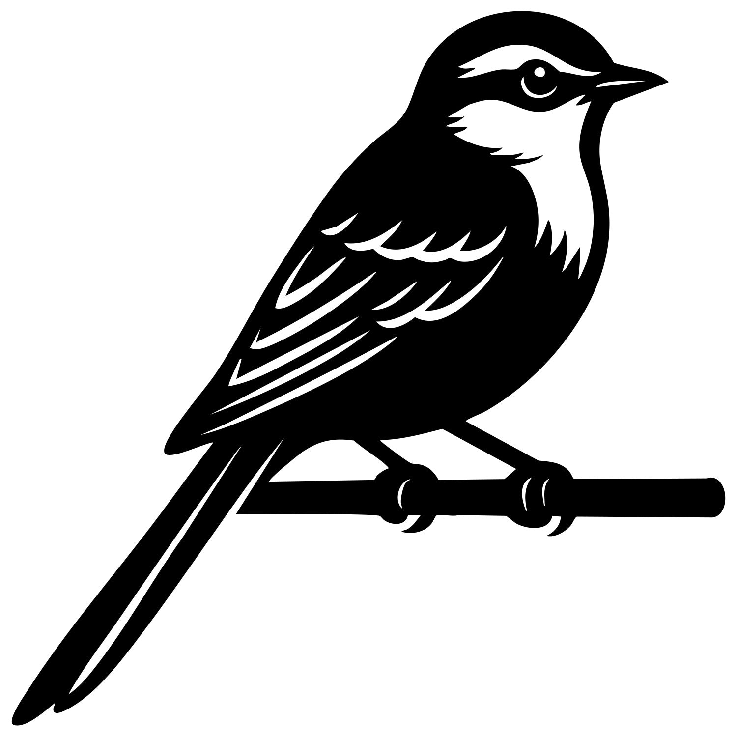 Long Tailed Finch DXF File – CNC Cutting Design | ABFINCH427