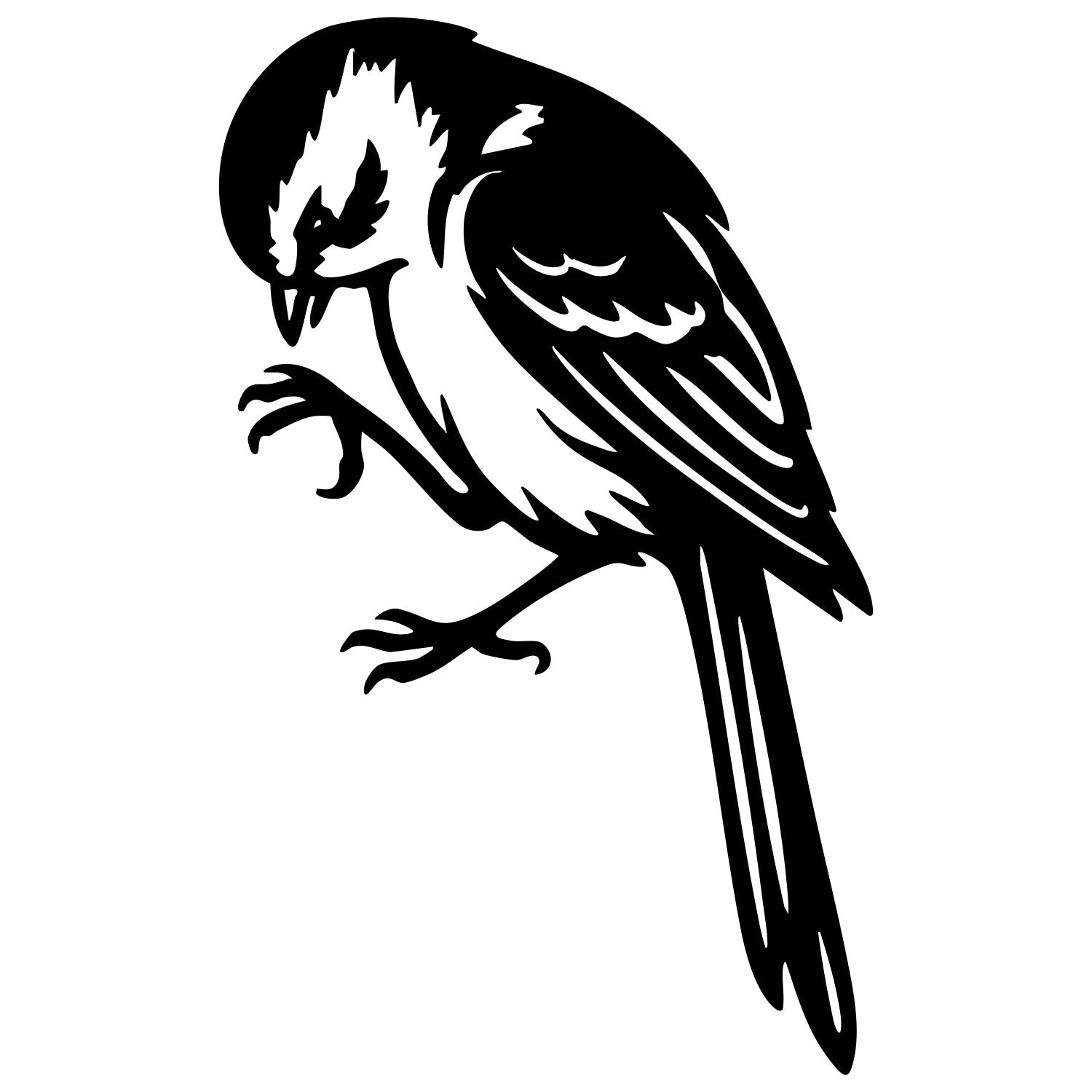 Long Tailed Finch DXF File – CNC Cutting Design | ABFINCH440