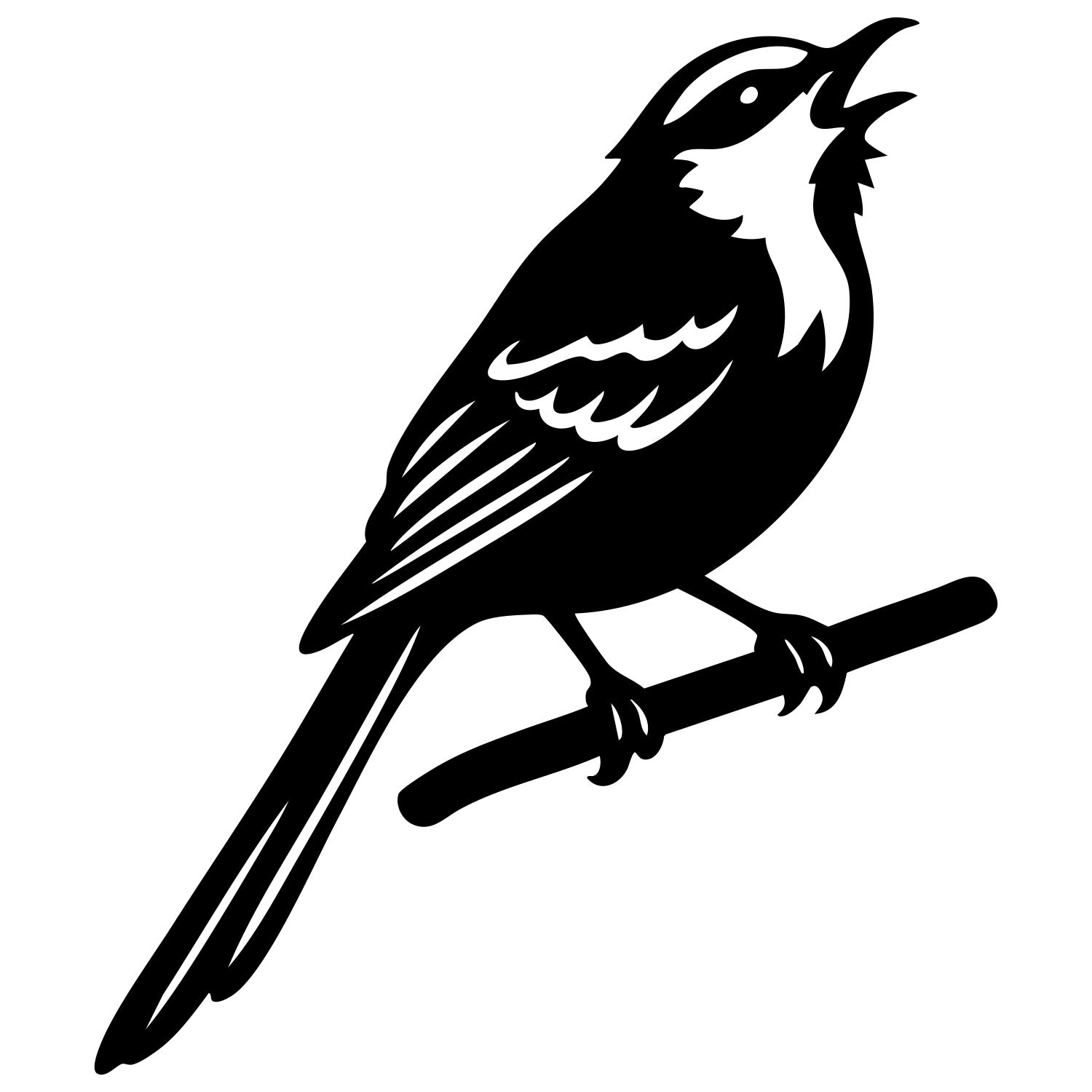 Long Tailed Finch DXF File – CNC Cutting Design | ABFINCH441