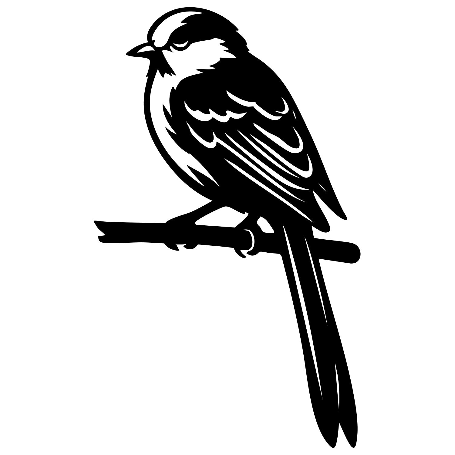 Long Tailed Finch DXF File – CNC Cutting Design | ABFINCH455