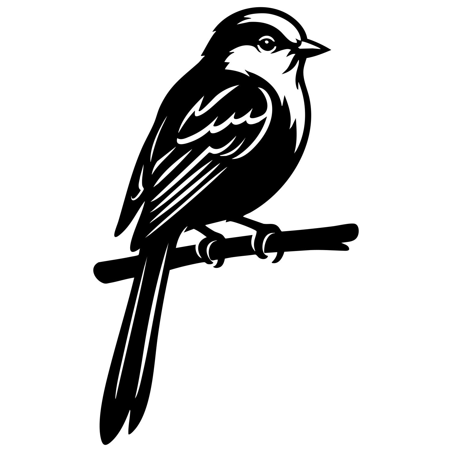 Long Tailed Finch DXF File – CNC Cutting Design | ABFINCH456