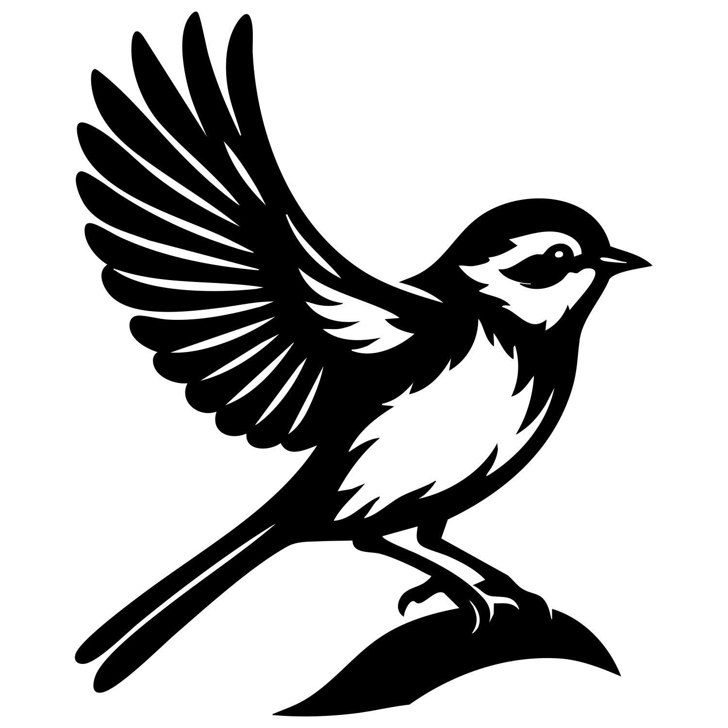 Long Tailed Finch DXF File – CNC Cutting Design | ABFINCH462