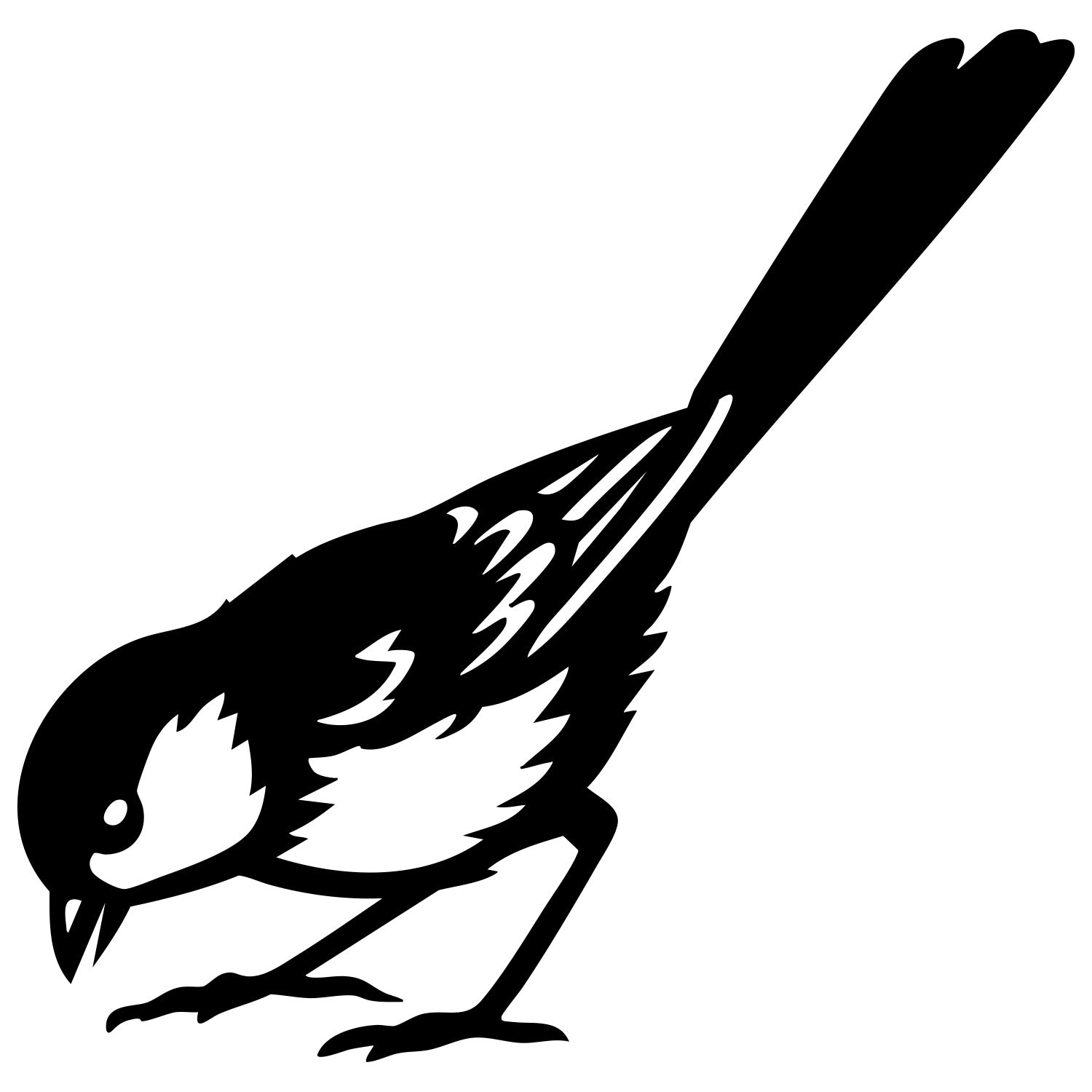 Long Tailed Finch DXF File – CNC Cutting Design | ABFINCH466
