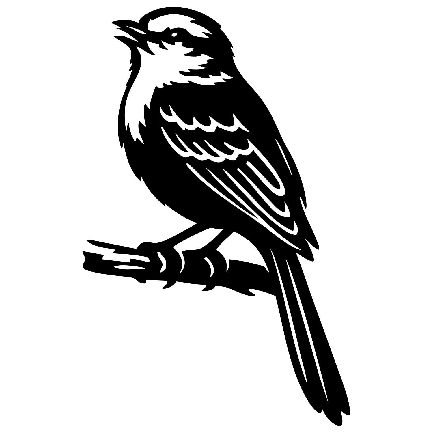 Long Tailed Finch DXF File – CNC Cutting Design | ABFINCH493