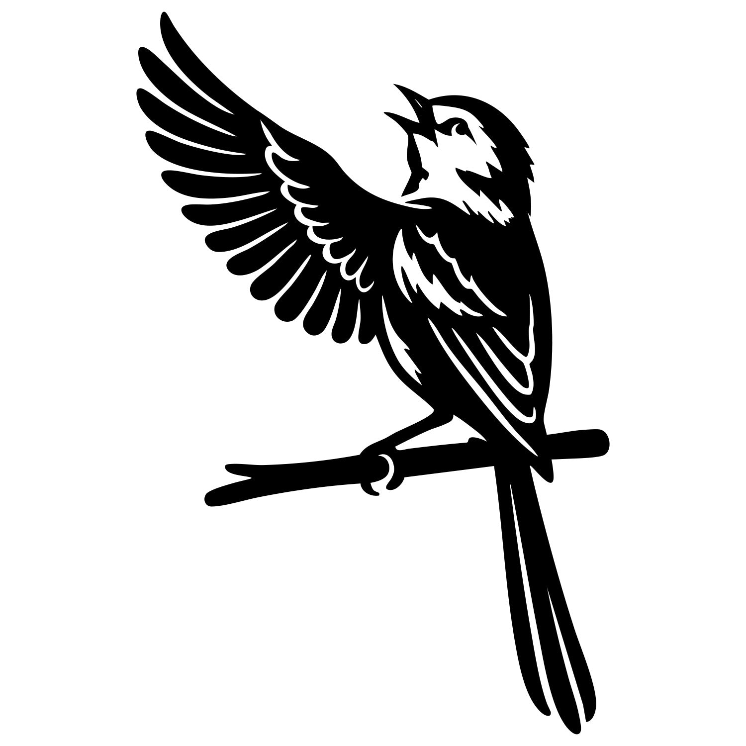 Long Tailed Finch DXF File – CNC Cutting Design | ABFINCH500