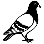 Pigeon DXF File – CNC Cutting Design | ABPIGEON89