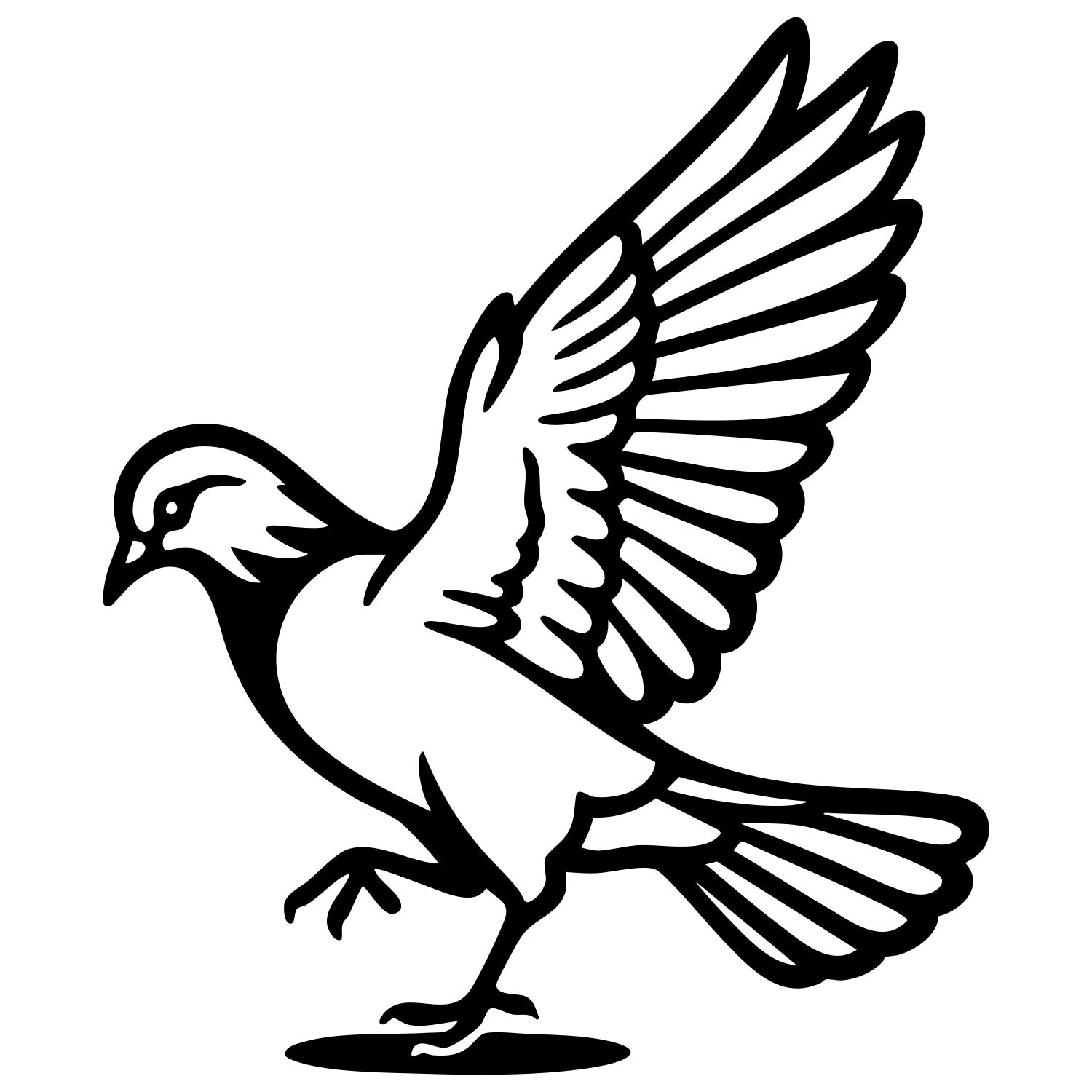 Pigeon DXF File – CNC Cutting Design | ABPIGEON90