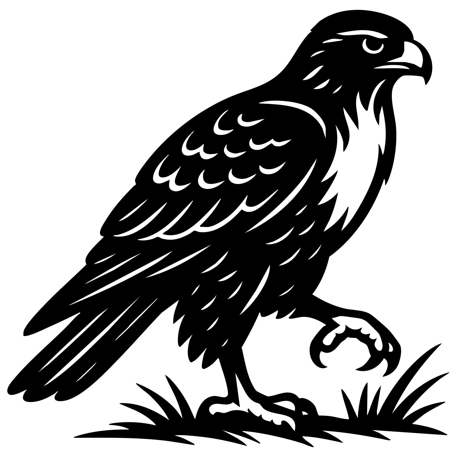Red-tailed Hawk DXF File – CNC Cutting Design | ABHAWK112