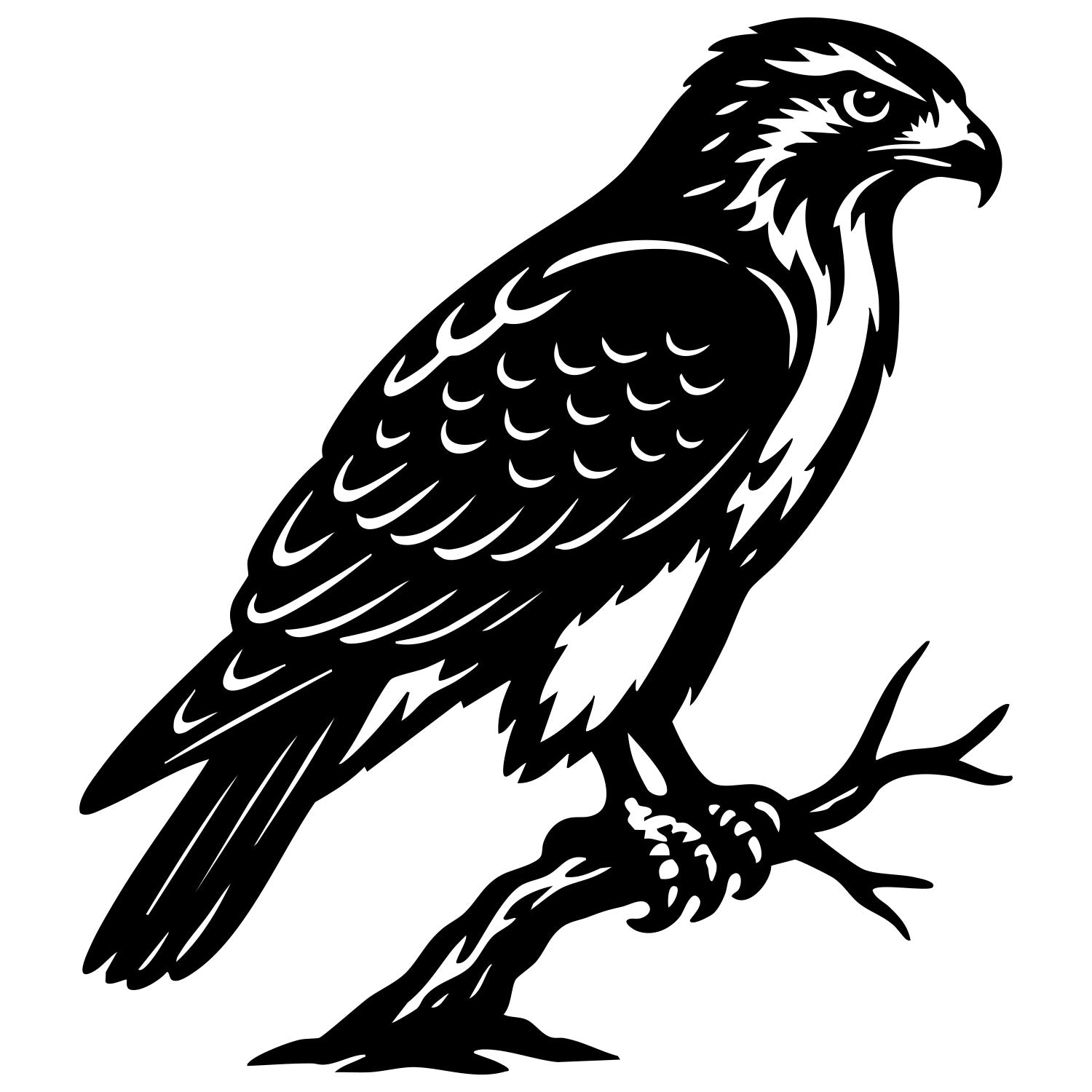 Red-tailed Hawk DXF File – CNC Cutting Design | ABHAWK115