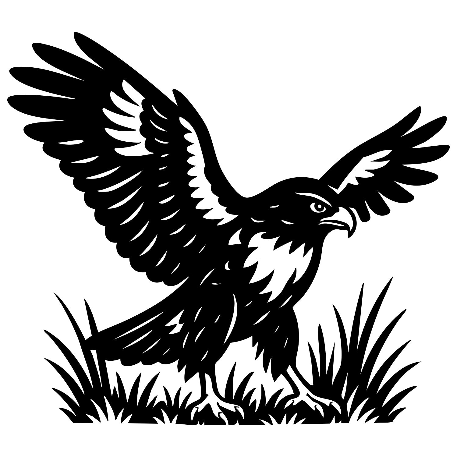 Red-tailed Hawk DXF File – CNC Cutting Design | ABHAWK24