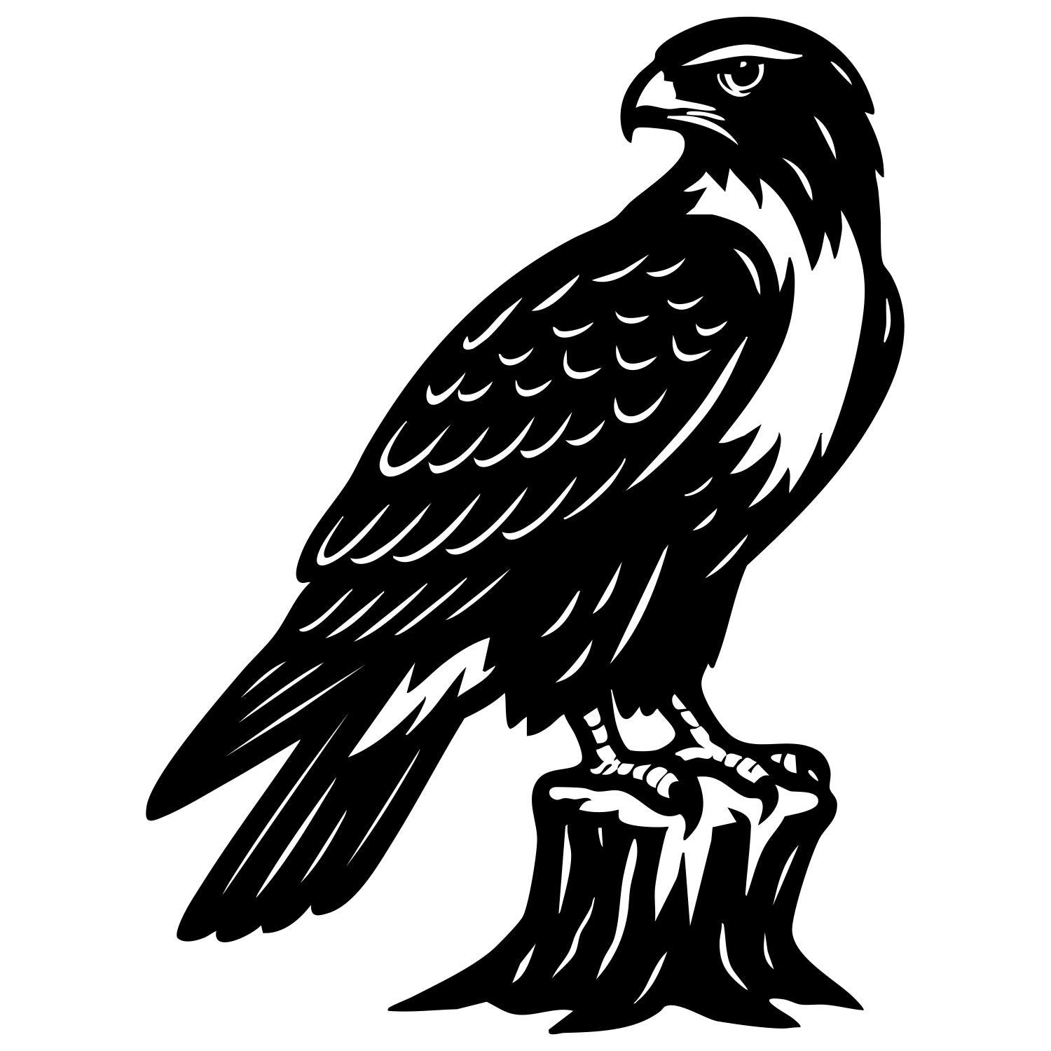 Red-tailed Hawk DXF File – CNC Cutting Design | ABHAWK35
