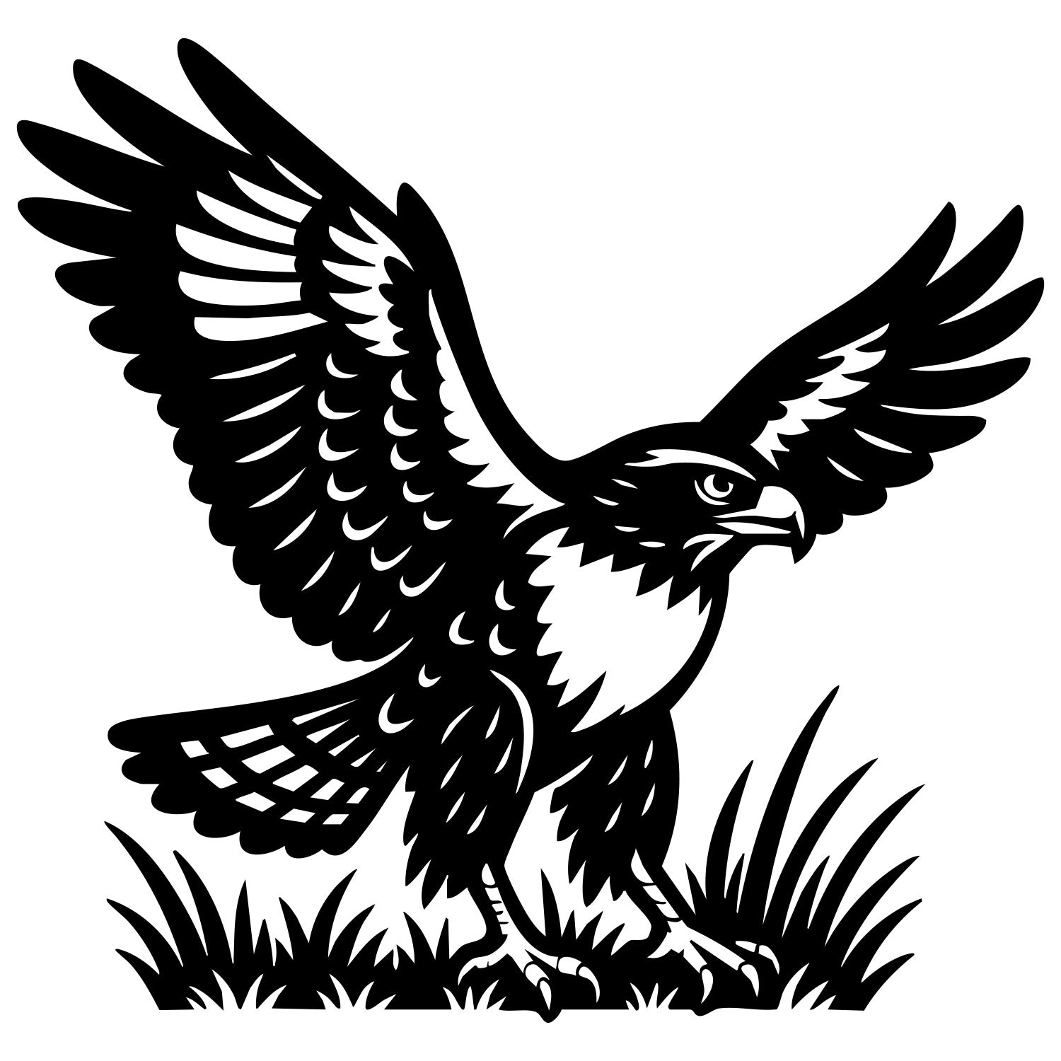 Red-tailed Hawk DXF File – CNC Cutting Design | ABHAWK39