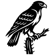 Red-tailed Hawk DXF File – CNC Cutting Design | ABHAWK51
