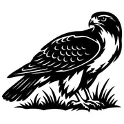 Red-tailed Hawk DXF File – CNC Cutting Design | ABHAWK86