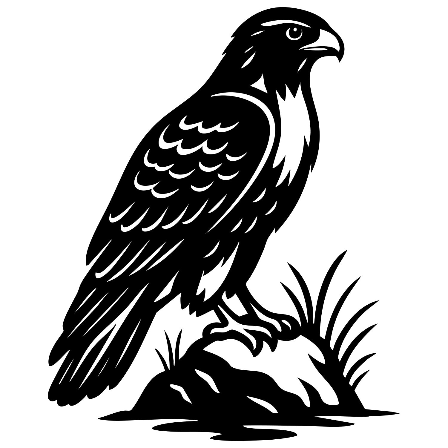 Red-tailed Hawk DXF File – CNC Cutting Design | ABHAWK92