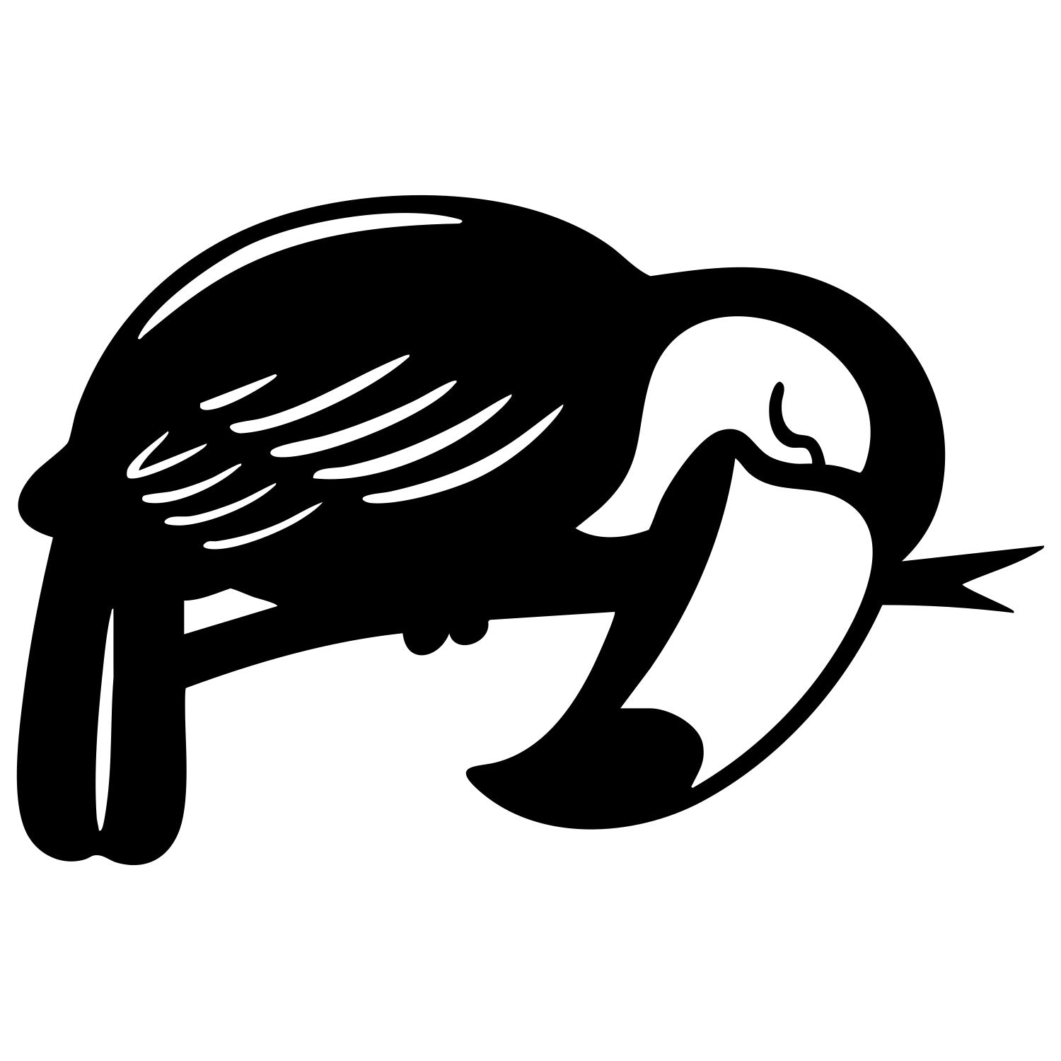 Toco Toucan DXF File – CNC Cutting Design | ABTOUCAN142