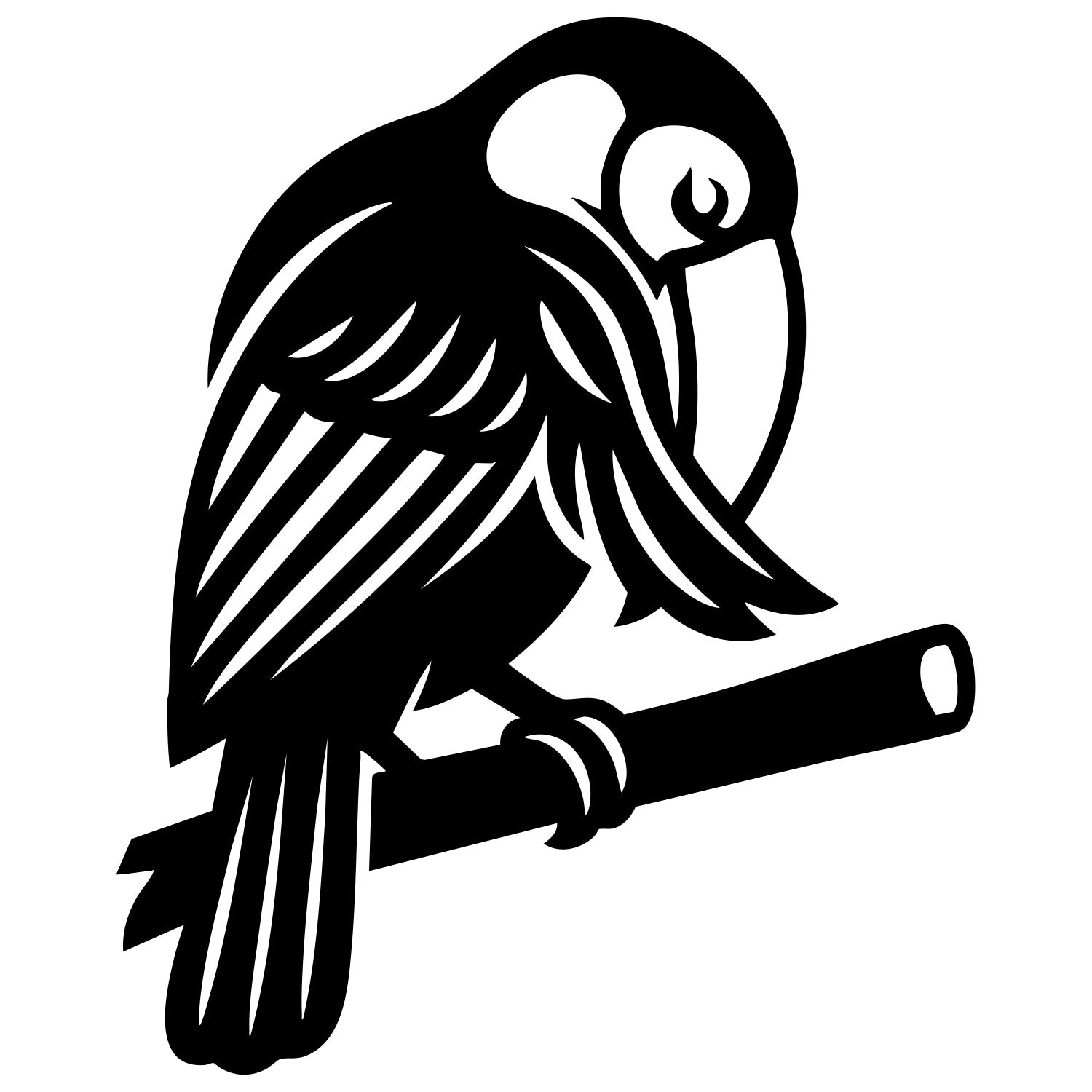 Toco Toucan DXF File – CNC Cutting Design | ABTOUCAN28